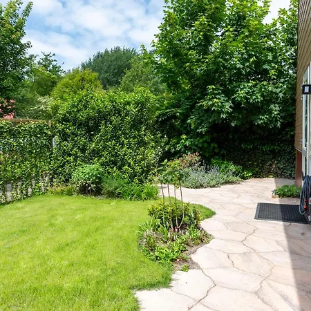 Beautifully Located Dune Near Noordwijk